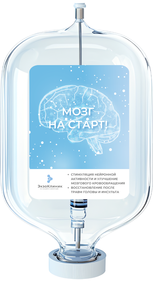 Мозг на старт!