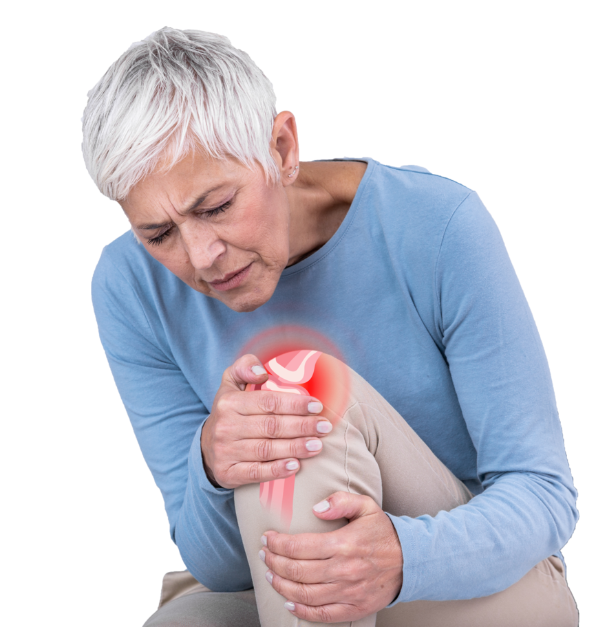 ЗДОРОВАЯ СПИНА+